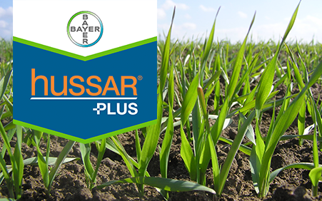 Hussar Plus logo og mark